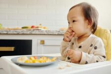 Building a Balanced Baby Diet